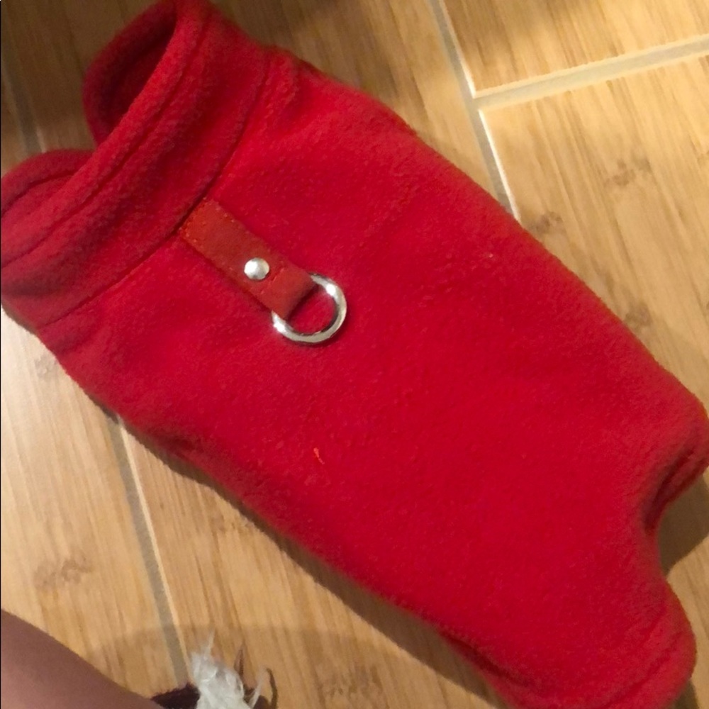 Tiny Dog sweater
